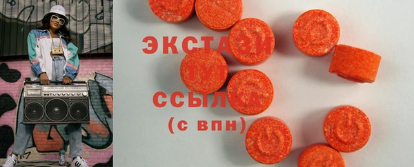 индика Надым