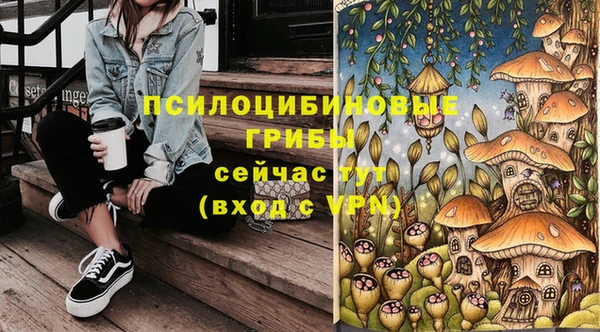 spice Михайлов