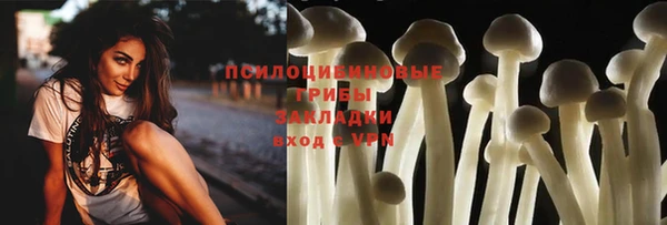 спиды Михайловск