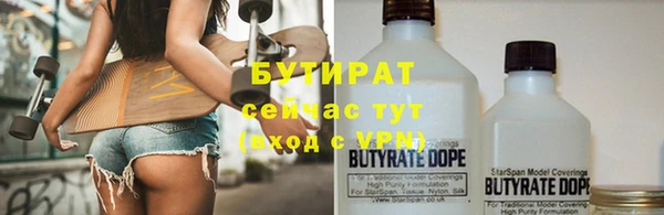 индика Надым