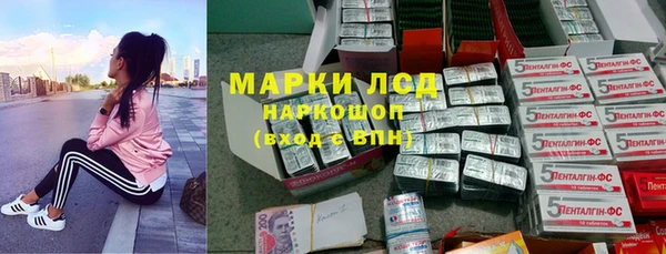 индика Надым