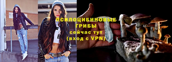 индика Надым
