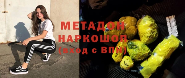 индика Надым