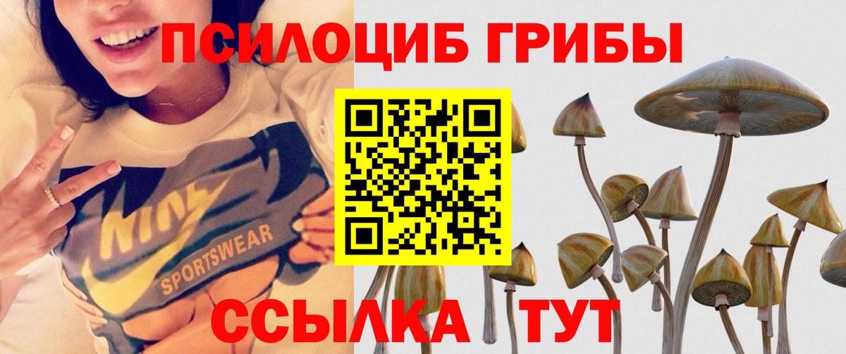 Псилоцибиновые грибы прущие грибы Домодедово
