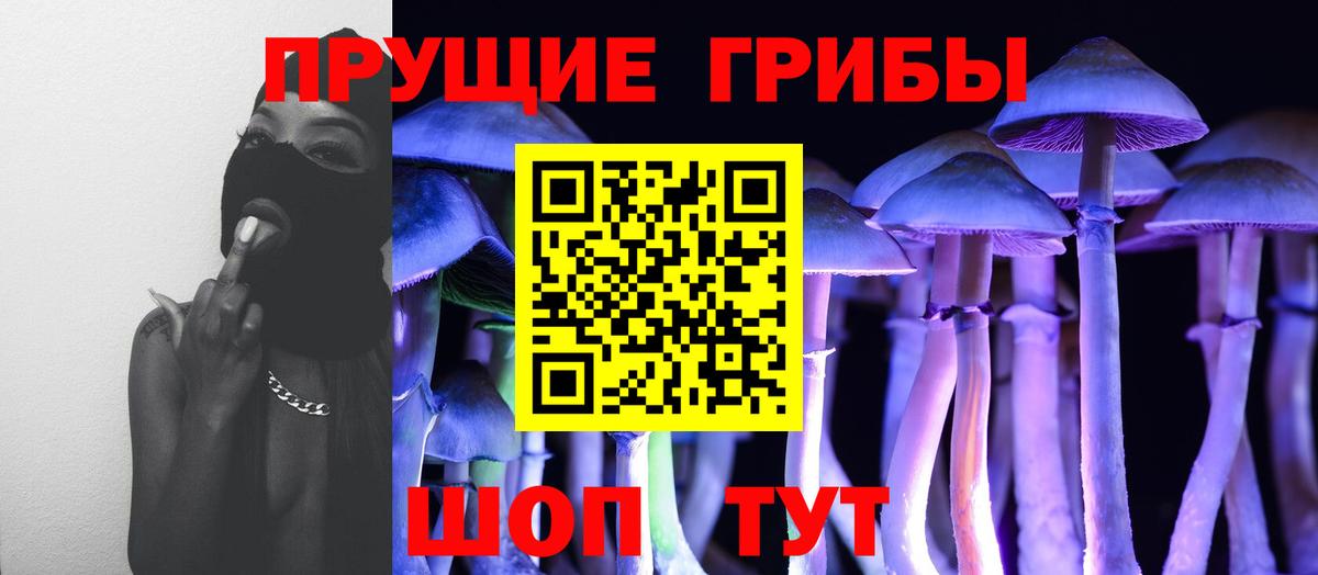 Домодедово  Псилоцибиновые грибы мухоморы  Вход с VPN 